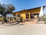 Local, Cerdanyola del Vallès