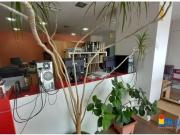 Local Comercial de 126 m² en dos plantas, para cualquier... Local Comercial de 126 m² en dos plantas, para cualquier...