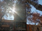 Local Comercial en Alquiler Capital Mendoza