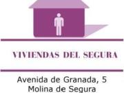 Local comercial en alquiler en Área de Molina de Segura