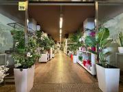 Local comercial en alquiler en Barcelona, de 119 m² 6...