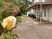 Local comercial en Alquiler en Butsènit