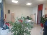 Local comercial en alquiler en calle Dels Comtes de...