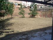 Local comercial en alquiler en calle Gran Via de Les...