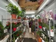 Local comercial en Alquiler en El Putget i el Farró