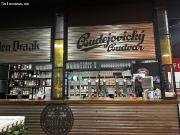 Local comercial en Alquiler en Elche pedanias, Alicante