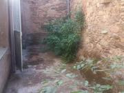 Local comercial en alquiler en Montehermoso, Juan jesus...