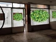 Local comercial en alquiler en Oviedo, Centro Auditorio