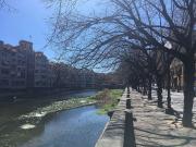 Local comercial en alquiler en plaza Josep Canalejas,...