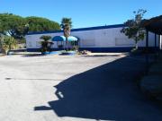 Local comercial en alquiler en Puerto Real, Barrio jarana