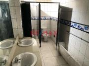 Local comercial en alquiler en San Juan De Lurigancho a...