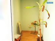 Local comercial en Alquiler en Sant Josep