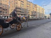 Local comercial en alquiler en Sevilla, Arenal Museo Tetuán