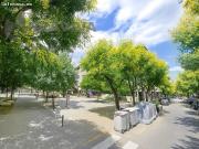 LOCAL COMERCIAL EN ALQUILER LA SEU DURGELL