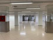 Local comercial en alquiler. VALENCIA
