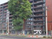 Local Comercial en Arriendo Av. Las Condes