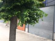 Local Comercial en Arriendo en Calle Quillota