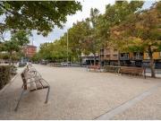 Local comercial en Avenida de Madrid