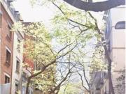 LOCAL COMERCIAL EN BARCELONA