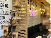 LOCAL COMERCIAL EN EL CENTRO HISTÓRICO DE MÉRIDA, YUCATÁN