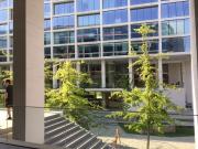 Local Comercial en Lo Barnechea