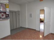 LOCAL COMERCIAL EN LOS TILOS
