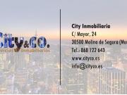 Local Comercial en Molina de Segura, Zona Centro