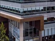 Local Comercial en Renta 733 m2 en Lomas de Chapultepec