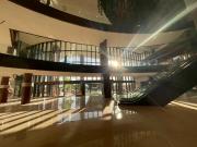 LOCAL COMERCIAL EN RENTA EN MÉRIDA YUCATÁN SOBRE LA...