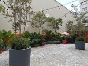 Local comercial en renta en Zona Real, a unos metros del...