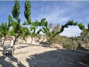 Local comercial en Venta en Abanillas, Murcia