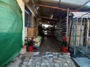 Local comercial en venta en Altafulla, de 505 m² 1...