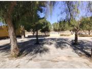 Local comercial en Venta en Calasparra, Murcia