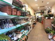 Local comercial en Venta en Centre