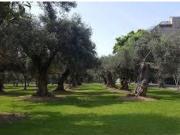 Local comercial en Venta en Madrid de las Caderechas, Madrid