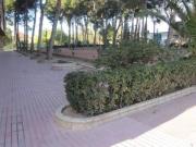 Local comercial en venta en Monforte del Cid, Centro