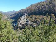 Local Comercial en Venta en Siete tazas