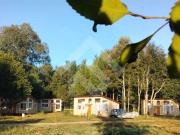 Local Comercial en Venta en Villarrica