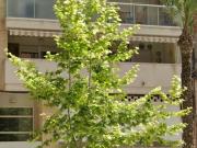 Local Comercial en Venta – Excelente Oportunidad en Zona...