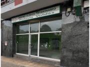 Local Comercial en Venta y Alquiler en el Centro de...