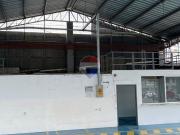 Local comercial showroom de alquiler manta norte