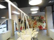 Local comercial súper céntrico