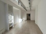 LOCAL COMERCIAL ZONA TRIBUNALES