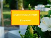 Local commercial 450 m²