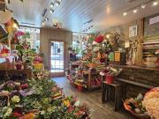 Local commercial 66 m²