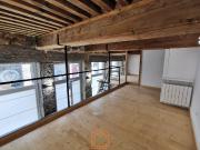 LOCAL COMMERCIAL CROIX ROUSSE CENTRE