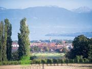 Local commercial | dreamo. Ch