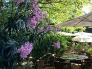 Local commercial restauration et fonds de commerce !