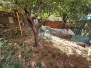 Local con licencia para bar