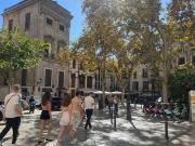 Local, Cort, Palma de Mallorca